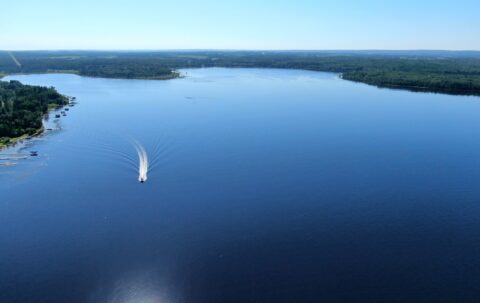 The Area | Buck Lake, AB